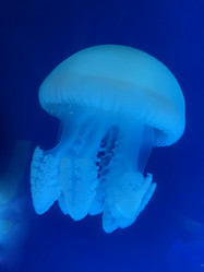 Similar image 21721382