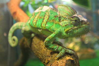 Similar image 21721383