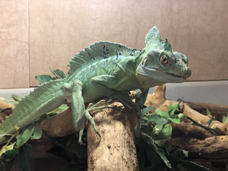 Similar image 21722531