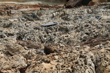 Similar image 21722532