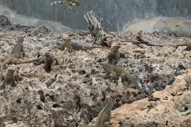 Similar image 21722533