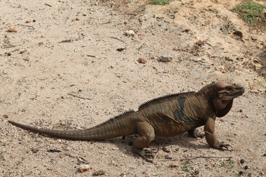 Similar image 21722535