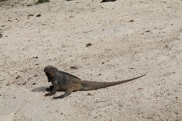 Similar image 21751096