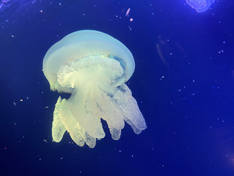 Similar image 21751097