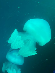 Similar image 21751098