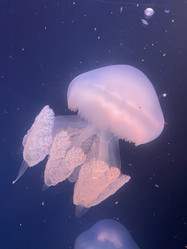 Similar image 21751099