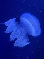 Similar image 21751100