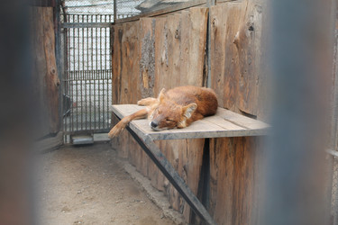 Similar image 21751101