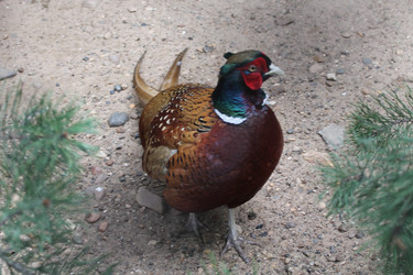 Similar image 21751102