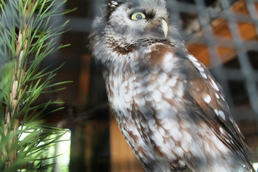 Similar image 21751103