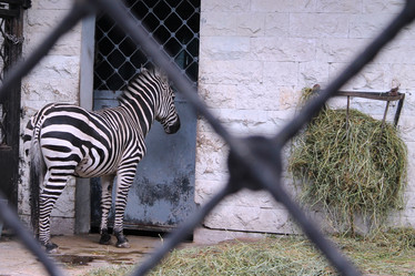 Similar image 21751104