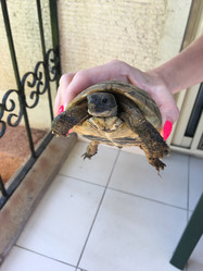 Similar image 21757521