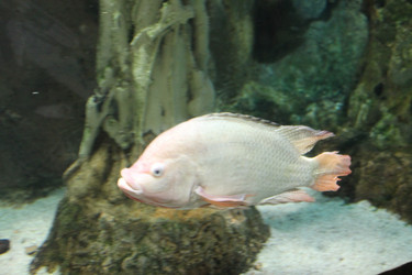 Similar image 21757818