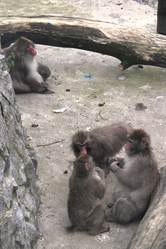 Similar image 21757820