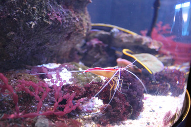 Similar image 21757823