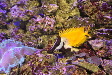 Similar image 21757825