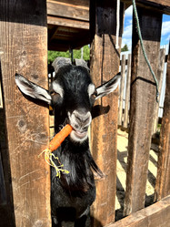 Similar image 21760381