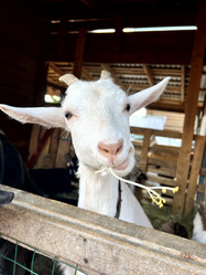 Similar image 21760382