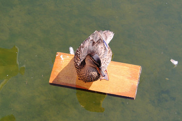 Similar image 21760976