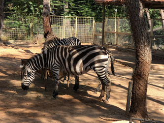 Similar image 21751105