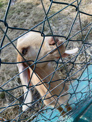 Similar image 21751107