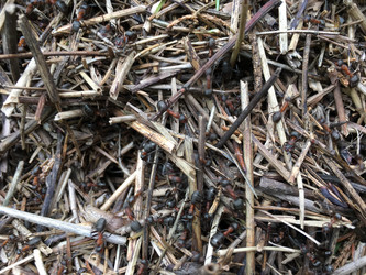 Similar image 21757136