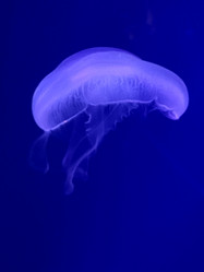 Similar image 21757137