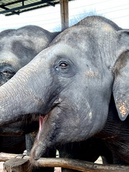 Similar image 21757827