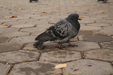 Similar image 21757828