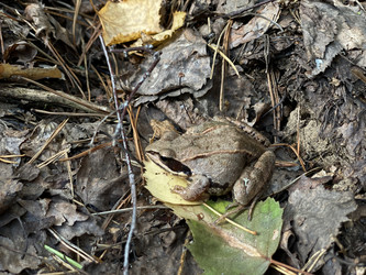 Similar image 21757829