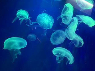 Similar image 21757830