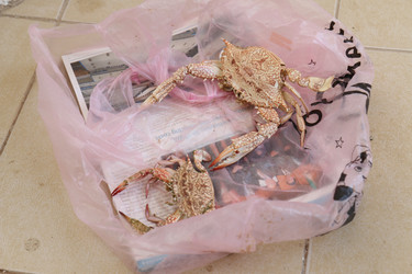 Similar image 21757831