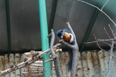 Similar image 21757832