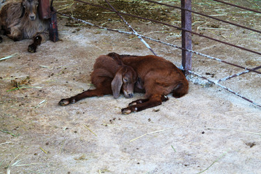 Similar image 21757833