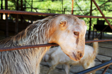 Similar image 21757834