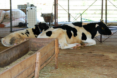 Similar image 21757835