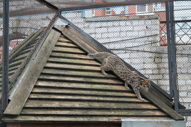 Similar image 21758523