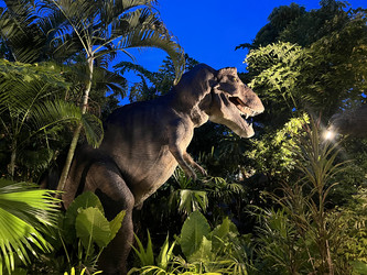 Similar image 21758551