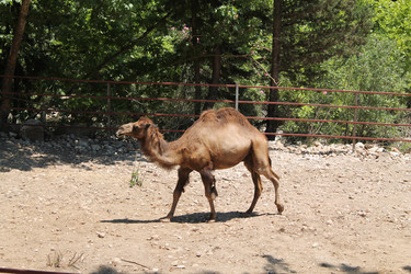 Similar image 21758552