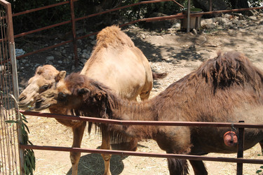 Similar image 21760383