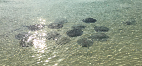 Similar image 21760384