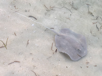 Similar image 21760977