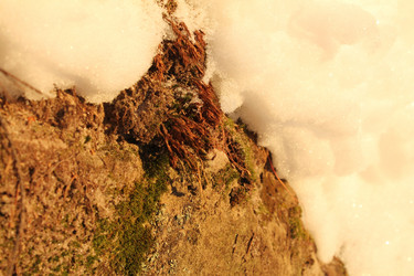 Similar image 21760978