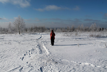 Similar image 21760985