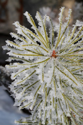 Similar image 21760987