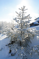 Similar image 21760385