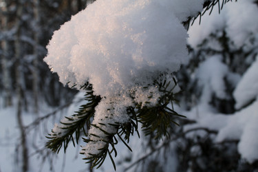 Similar image 21760386