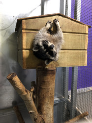 Similar image 21760996