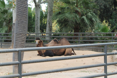 Similar image 21760997