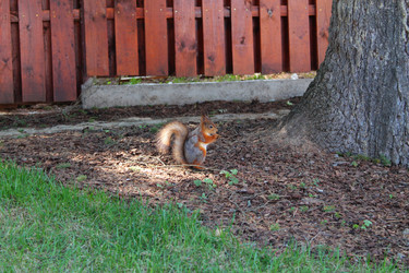 Similar image 21760998